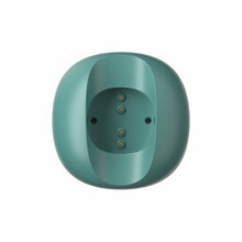 Charger l&#39;image dans la visionneuse de la galerie, 2-in-1-Ladegerät und Halterung für Oclean X Pro/X/Z1/F1 Toothbrush Holders Oclean Official Grün - Oclean
